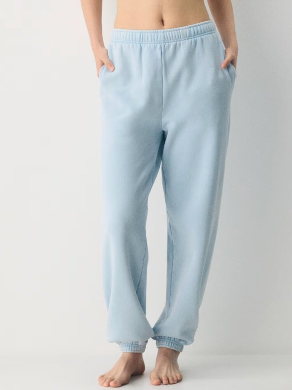 Aritzia Mega Fit Sweatfleece Cozy Fleece Joggers